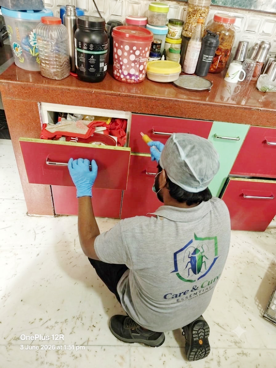 Chemical spraying pest control treatment in Rehe Jharkhand
